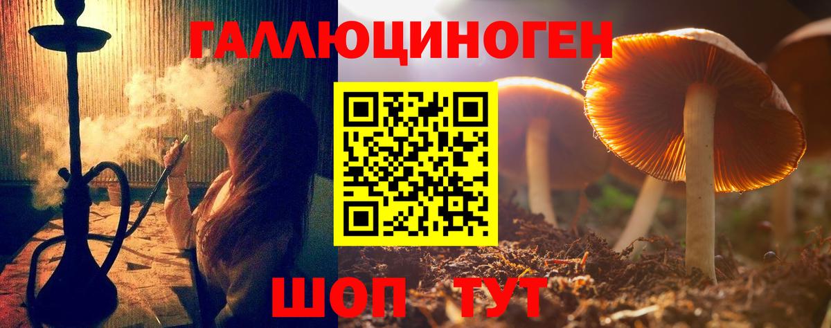 Галлюциногенные грибы GOLDEN TEACHER Гусиноозёрск