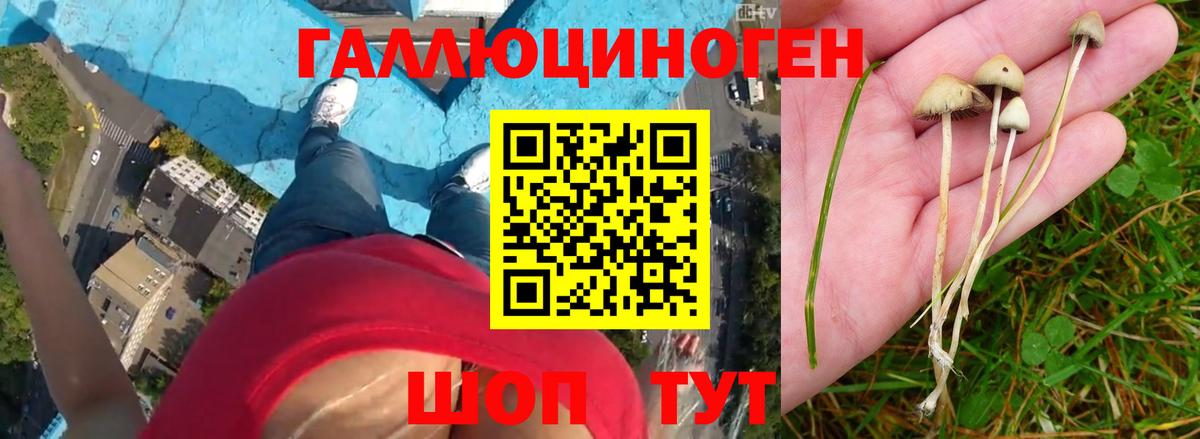 Галлюциногенные грибы ЛСД  Вход с VPN  Гусиноозёрск  Галлюциногенные грибы MAGIC MUSHROOMS 