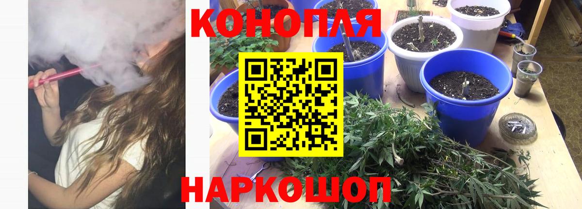 Шишки марихуана гибрид Гусиноозёрск